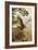 Golden Eagle with Young, Aviemore-John Cyril Harrison-Framed Giclee Print