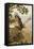 Golden Eagle with Young, Aviemore-John Cyril Harrison-Framed Premier Image Canvas