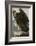 Golden Eagle-John James Audubon-Framed Art Print