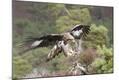 Premium Photographic Print