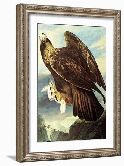 Golden Eagle-John James Audubon-Framed Art Print