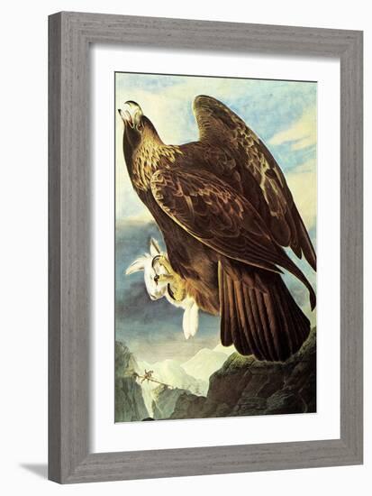 Golden Eagle-John James Audubon-Framed Art Print