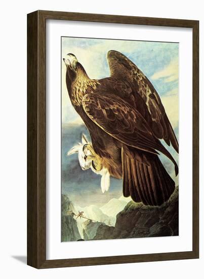 Golden Eagle-John James Audubon-Framed Art Print