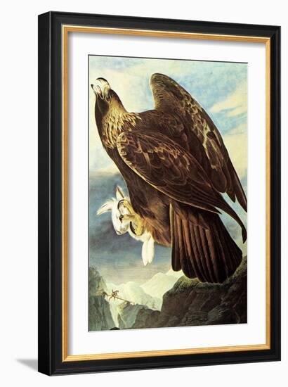 Golden Eagle-John James Audubon-Framed Premium Giclee Print