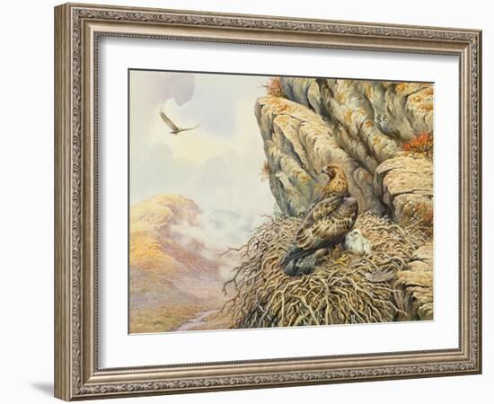 Golden Eagles at Eyrie-Carl Donner-Framed Giclee Print