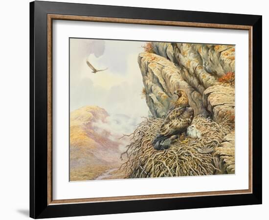 Golden Eagles at Eyrie-Carl Donner-Framed Giclee Print