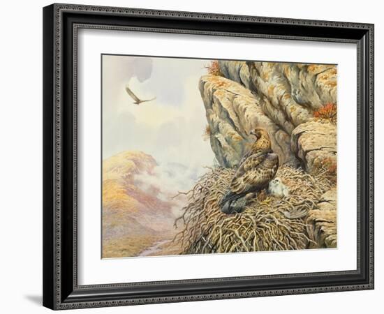 Golden Eagles at Eyrie-Carl Donner-Framed Giclee Print