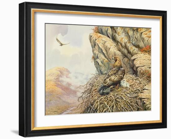 Golden Eagles at Eyrie-Carl Donner-Framed Giclee Print