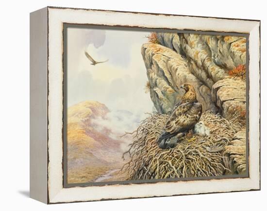 Golden Eagles at Eyrie-Carl Donner-Framed Premier Image Canvas