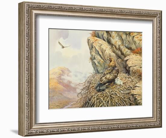 Golden Eagles at Eyrie-Carl Donner-Framed Giclee Print
