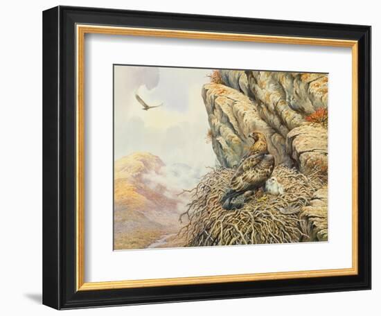 Golden Eagles at Eyrie-Carl Donner-Framed Giclee Print