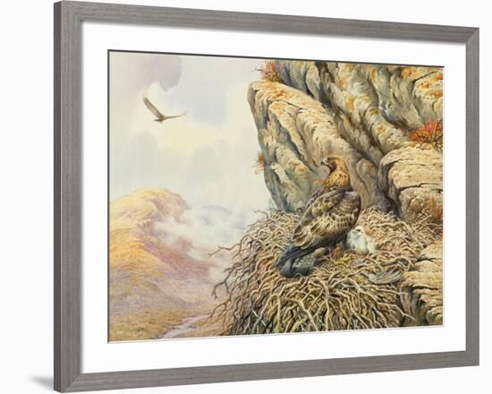 Golden Eagles at Eyrie-Carl Donner-Framed Giclee Print