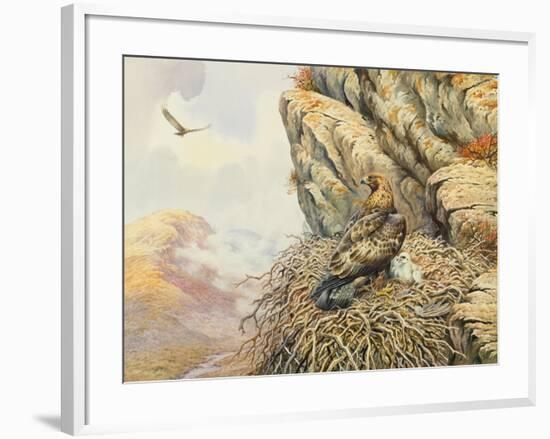 Golden Eagles at Eyrie-Carl Donner-Framed Giclee Print