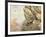 Golden Eagles at Eyrie-Carl Donner-Framed Giclee Print