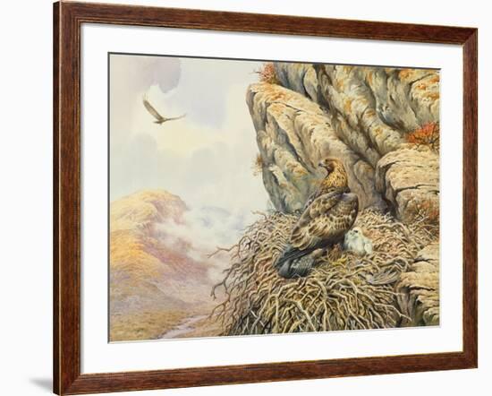 Golden Eagles at Eyrie-Carl Donner-Framed Giclee Print