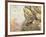 Golden Eagles at Eyrie-Carl Donner-Framed Giclee Print