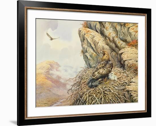 Golden Eagles at Eyrie-Carl Donner-Framed Giclee Print