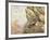 Golden Eagles at Eyrie-Carl Donner-Framed Giclee Print