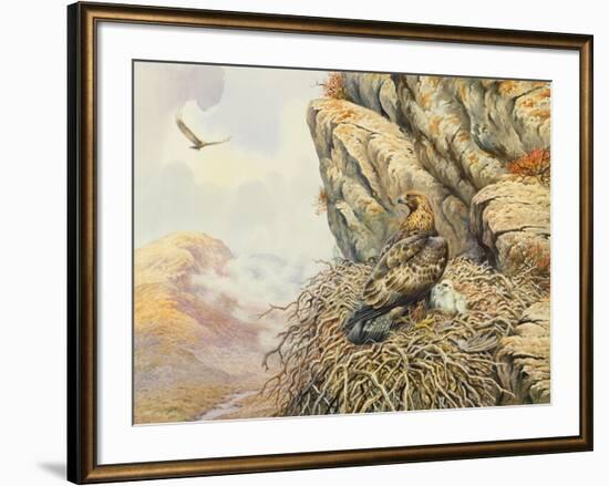 Golden Eagles at Eyrie-Carl Donner-Framed Giclee Print