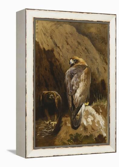 Golden Eagles at their Eyrie, 1900-Archibald Thorburn-Framed Premier Image Canvas