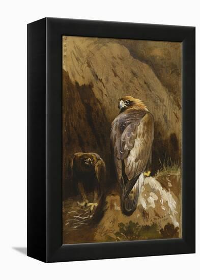 Golden Eagles at their Eyrie, 1900-Archibald Thorburn-Framed Premier Image Canvas