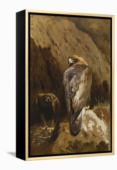 Golden Eagles at their Eyrie, 1900-Archibald Thorburn-Framed Premier Image Canvas