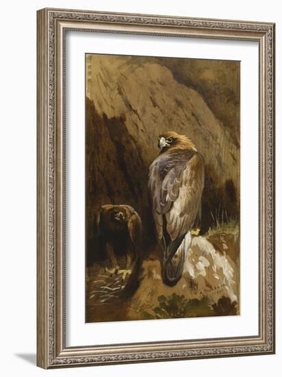 Golden Eagles at their Eyrie, 1900-Archibald Thorburn-Framed Giclee Print