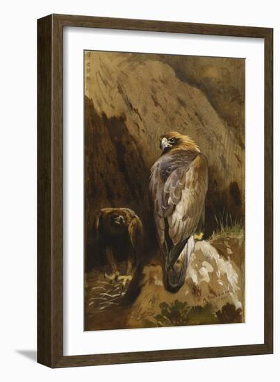 Golden Eagles at their Eyrie, 1900-Archibald Thorburn-Framed Giclee Print