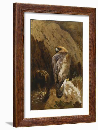 Golden Eagles at their Eyrie, 1900-Archibald Thorburn-Framed Giclee Print