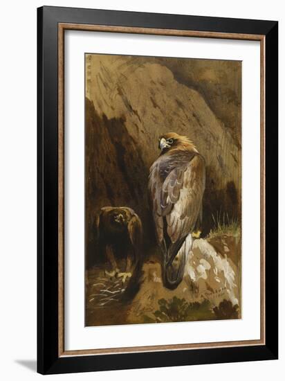 Golden Eagles at their Eyrie, 1900-Archibald Thorburn-Framed Giclee Print