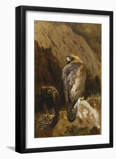 Golden Eagles at their Eyrie, 1900-Archibald Thorburn-Framed Giclee Print