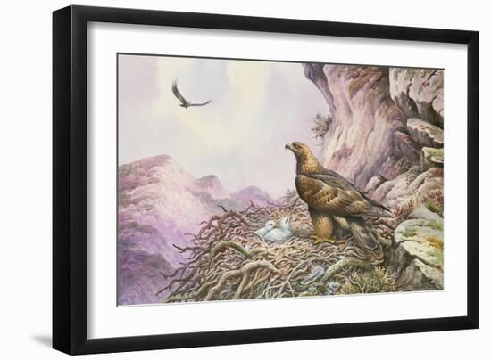 Golden Eagles at their Eyrie-Carl Donner-Framed Giclee Print