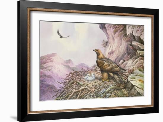 Golden Eagles at their Eyrie-Carl Donner-Framed Giclee Print