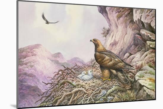 Golden Eagles at their Eyrie-Carl Donner-Mounted Giclee Print