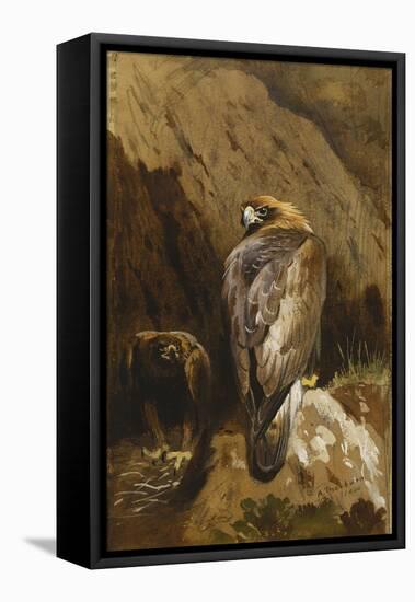 Golden Eagles at their Eyrie-Archibald Thorburn-Framed Premier Image Canvas