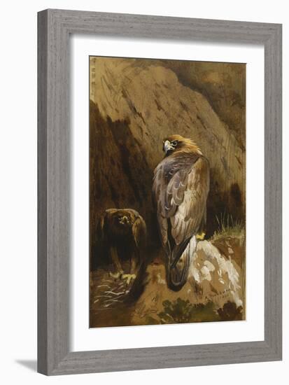 Golden Eagles at their Eyrie-Archibald Thorburn-Framed Giclee Print