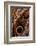 golden-edged owl-butterfly wing detail-claudio contreras-Framed Photographic Print