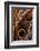 golden-edged owl-butterfly wing detail-claudio contreras-Framed Photographic Print