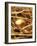 Golden Egg-Tony Craddock-Framed Photographic Print