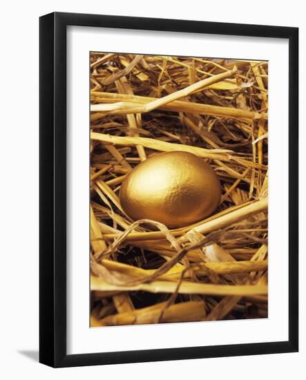 Golden Egg-Tony Craddock-Framed Photographic Print