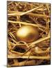 Golden Egg-Tony Craddock-Mounted Photographic Print