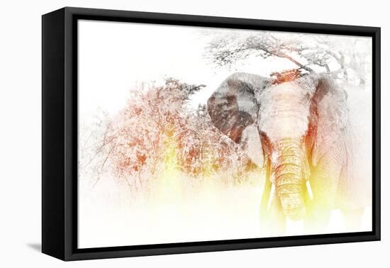 Golden Elephant-Golie Miamee-Framed Premier Image Canvas