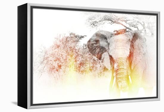 Golden Elephant-Golie Miamee-Framed Premier Image Canvas