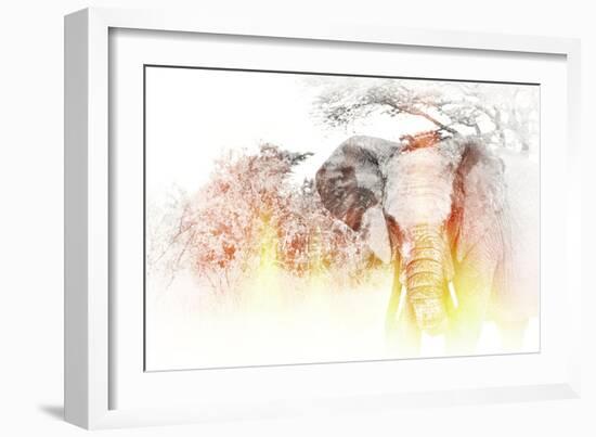 Golden Elephant-Golie Miamee-Framed Photographic Print