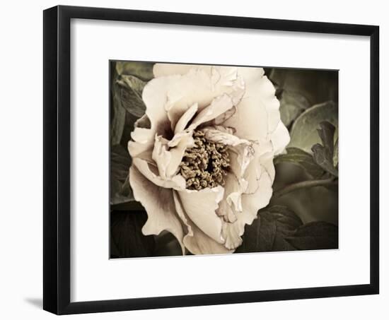 Golden Era Peony I-Rachel Perry-Framed Art Print