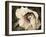 Golden Era Peony III-Rachel Perry-Framed Art Print