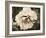 Golden Era Peony IV-Rachel Perry-Framed Art Print