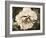 Golden Era Peony IV-Rachel Perry-Framed Art Print