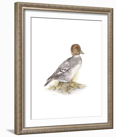 Golden Eye (Female)-C^T^N^ Ackland-Framed Premium Giclee Print