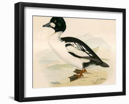 Golden Eye-Beverley R. Morris-Framed Giclee Print